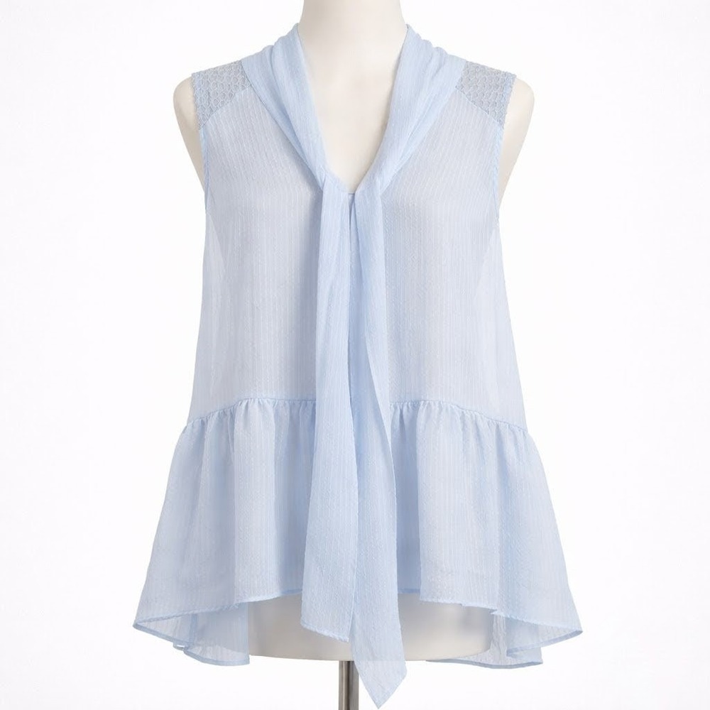 Sheer Fairy Peplum Sleeveless Top Sz M Pastel Blue Coquette Romantic Fairy Twee - Picture 1 of 10